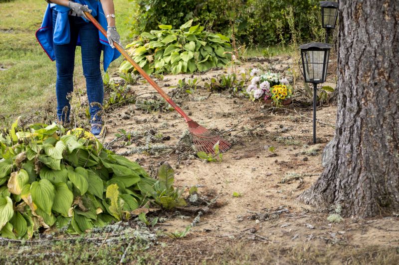Clearing Brush and Vegetation