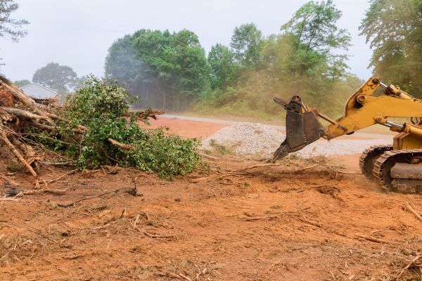 Ground Clearing in Annapolis