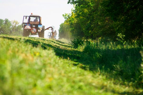 Brush Trimming