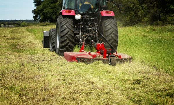 Brush Clearing Service in Annapolis