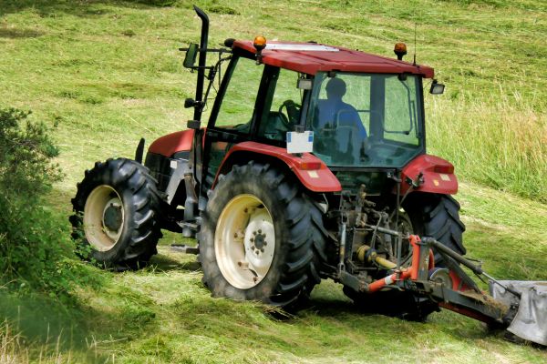 Vegetation Removal Service