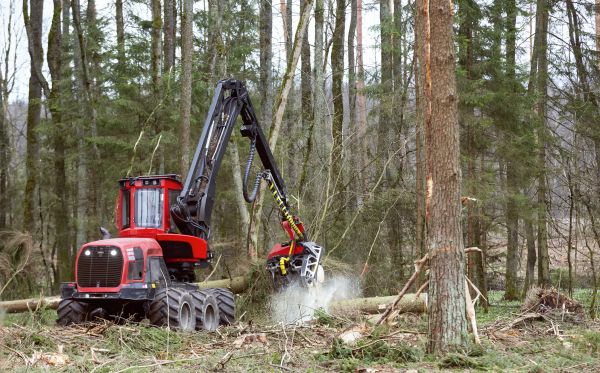 Forest Clearance Service