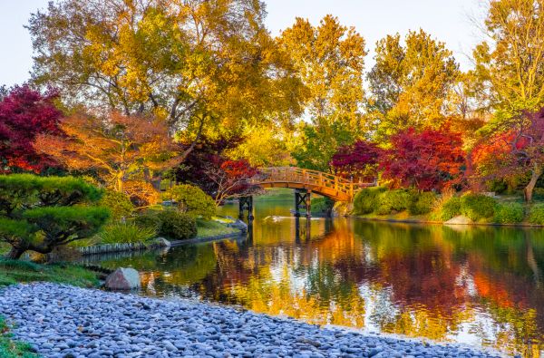 Waterfront Landscaping