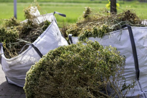Bushes Clearing in Annapolis