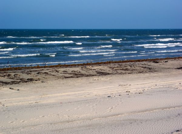 Beachfront Property Clearing