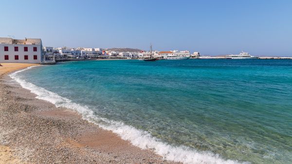 Shoreline Clearing
